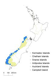 Veronica mooreae distribution map based on databased records at AK, CHR & WELT.
 Image: K.Boardman © Landcare Research 2022 CC-BY 4.0